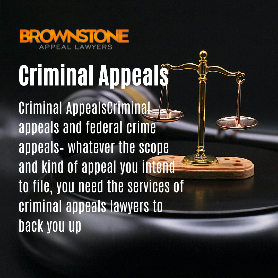 Navigating the Legal Maze: A Comprehensive Guide to Criminal Appeals